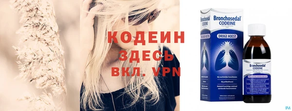 mdpv Вяземский