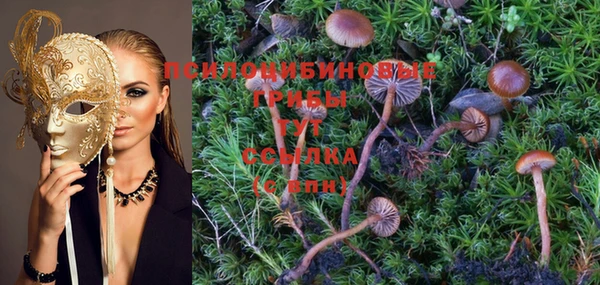 а пвп мука Вязьма