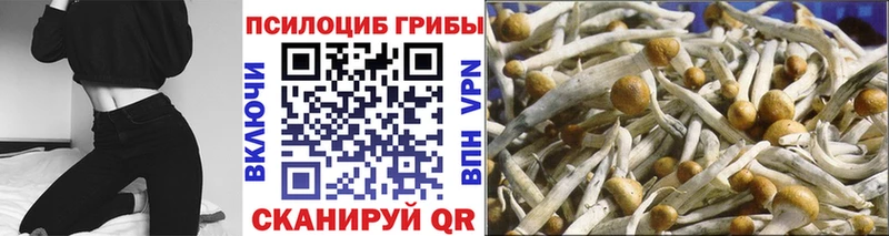 Галлюциногенные грибы Cubensis  Купить  Первоуральск 